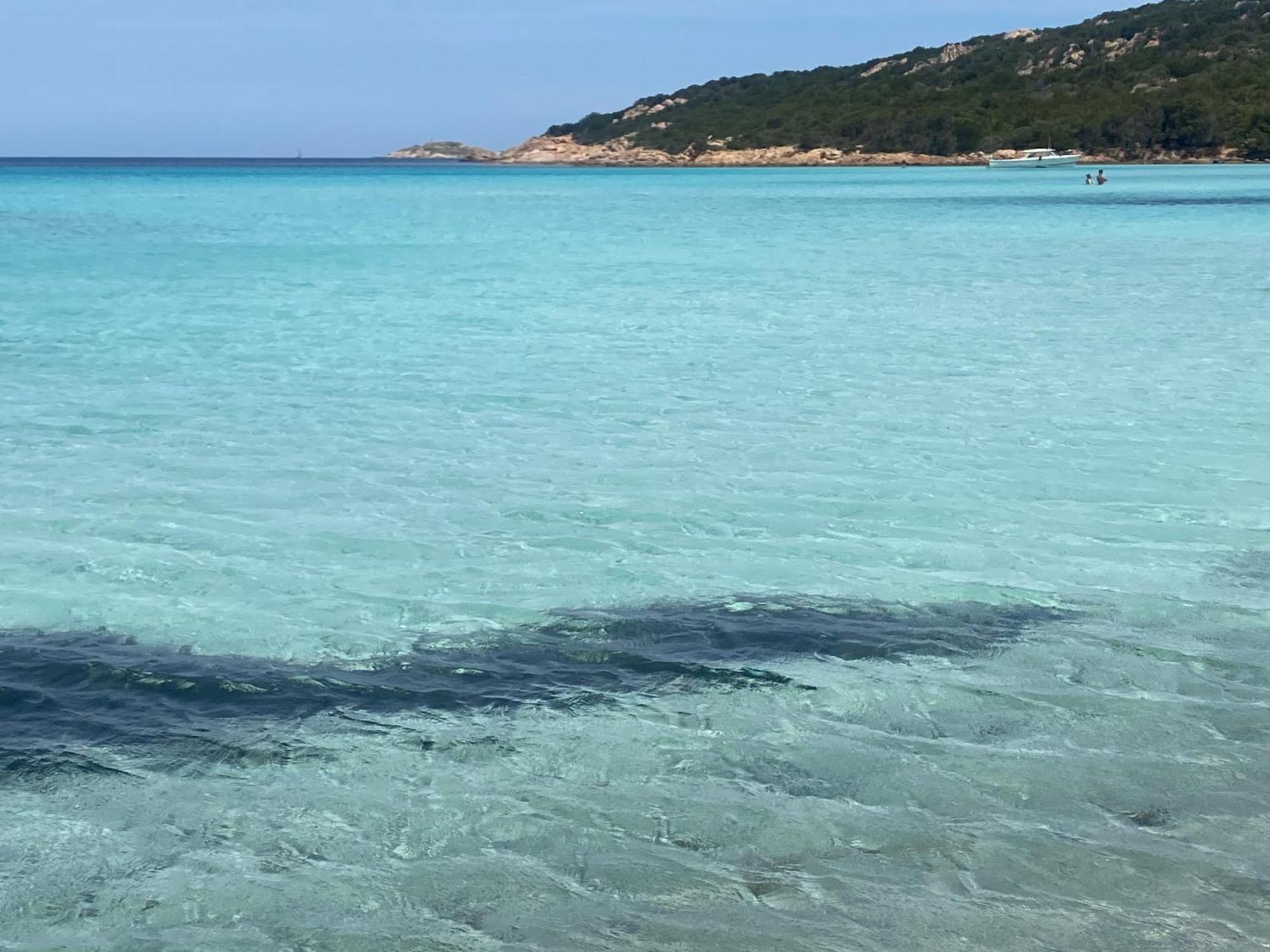 Casa Stella Residence Ea Bianca Baja Sardinia Ngoại thất bức ảnh